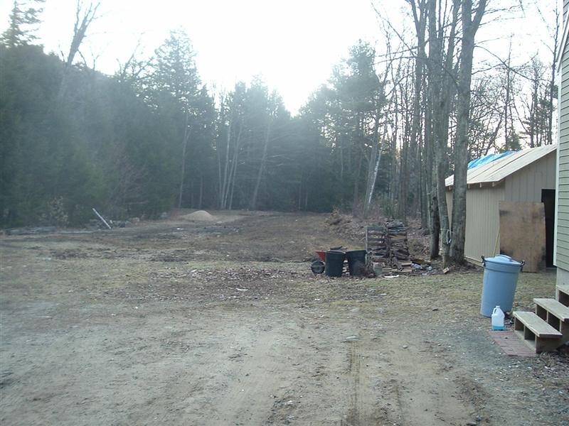 Outdoor scene with trees, a shed, and trash cans