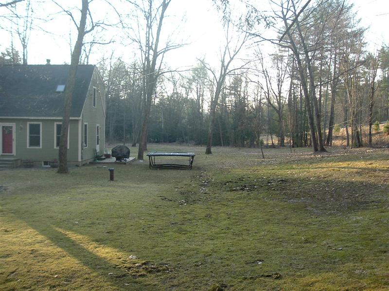 Backyard scene with a light green house, trees, and a trampoline