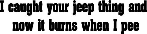 1988 Ford Bronco - This image contains a text graphic with a humorous and crude message.