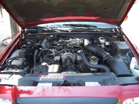 1999 Ford Crown Victoria - The engine bay of a red 1999 Ford Crown Victoria, a Flowmaster sticker on the radiator cover.