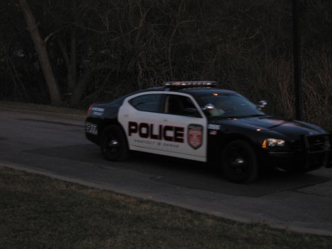 1991 Ford LTD Crown Victoria - black-and-white POLICE 'Protect & Serve' marked Dodge Charger parked on a roadside near trees in low evening light.