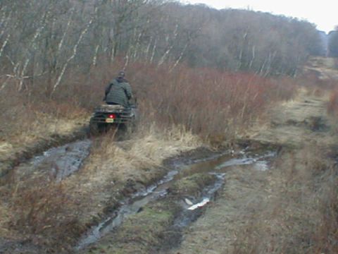 2002 Polaris SPORTSMAN 500 HO RSE photo