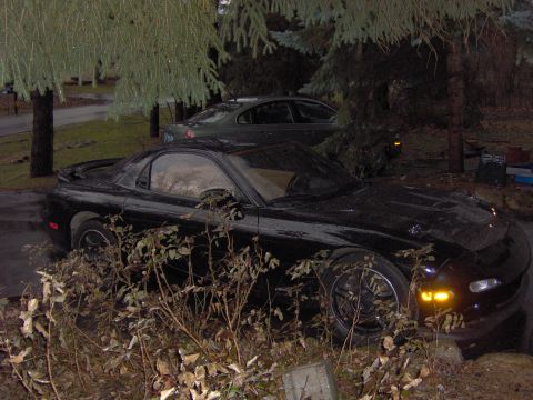 1993 Mazda RX-7 - A black 1993 Mazda RX-7 is partially obscured by foliage, with another vehicle visible in the background.