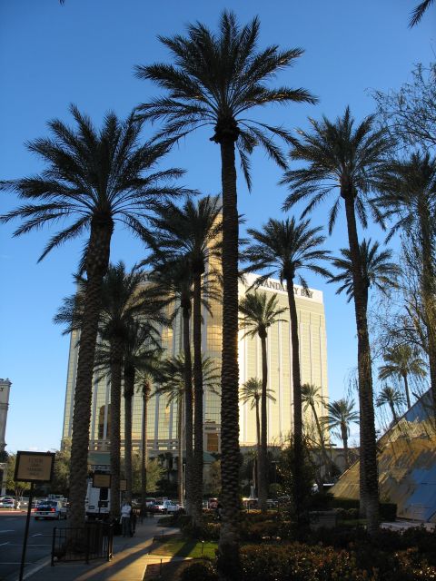1997 Ford Probe - Mandalay Bay & some palm trees