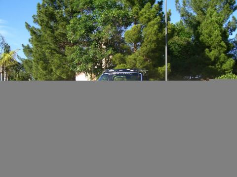 1991 Ford Bronco - A black 1991 Ford Bronco is visible from the front quarter angle, partially obscured by trees.