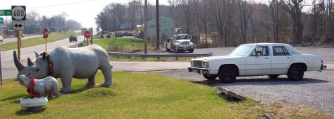 1985 Ford Crown Victoria LTD - A white sedan is parked near a roadside attraction rhino statues and a tow truck in the distance.