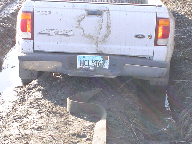 Rear of muddy white Ford 4x4 pickup stuck in a rut with a tow strap on the ground