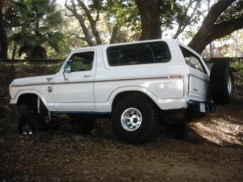 1978 Ford Bronco - This 1978 Ford Bronco is parked off-road, surrounded by trees and fallen leaves.
