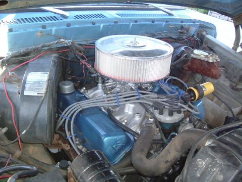 1979 Ford Bronco - The engine bay features blue valve covers and a prominent chrome air cleaner assembly.