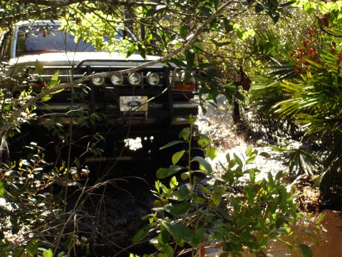 1989 Ford Bronco - A 1989 Ford Bronco navigates a muddy trail, partially obscured by dense vegetation.