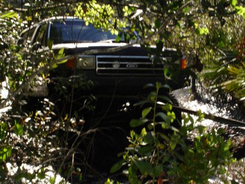 1989 Ford Bronco - This 1989 Ford Bronco navigates through a watery, brush-filled terrain.