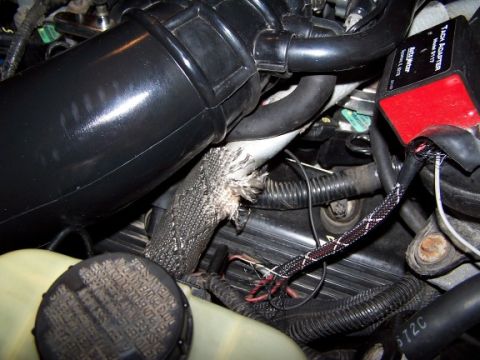2000 Ford Crown Victoria - Clearance with EGR tube, PCV valve/hose