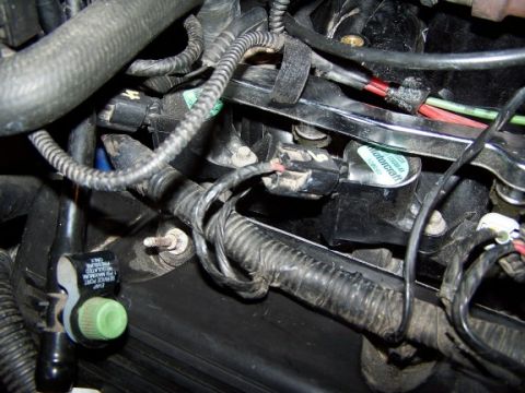 Wiring Harness - 2000 Ford Crown Victoria