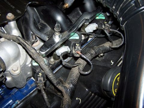 2000 Ford Crown Victoria - Close-up view of an engine wiring harness, showing various connectors and protective wrapping.