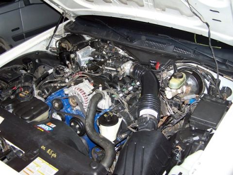 2000 Ford Crown Victoria - Engine bay of a 2000 Ford Crown Victoria, with the hood open, revealing the V8 engine components.