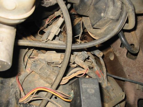 1988 Ford Bronco - This image shows a complex engine wiring harness with multiple connectors and wires, including a component labeled 'Ford'.