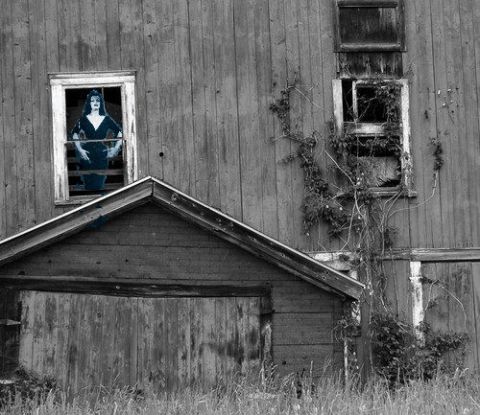 2002 Ford Crown Victoria - A figure stands in the window of an old barn, surrounded by weathered wood and creeping vines.
