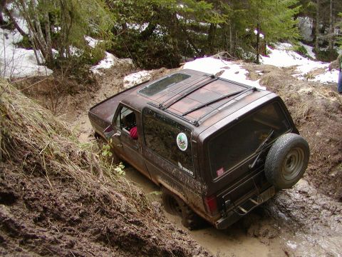 1987 Ford Bronco II - she's broke!