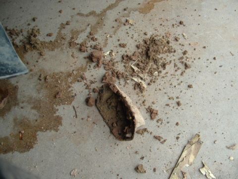 1990 Ford Bronco - Debris and dirt are scattered on a concrete surface, suggesting a blockage has been cleared.