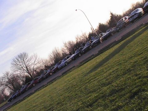 1994 Ford Probe - A row of cars are parked along a street with a grassy embankment and trees in the background.