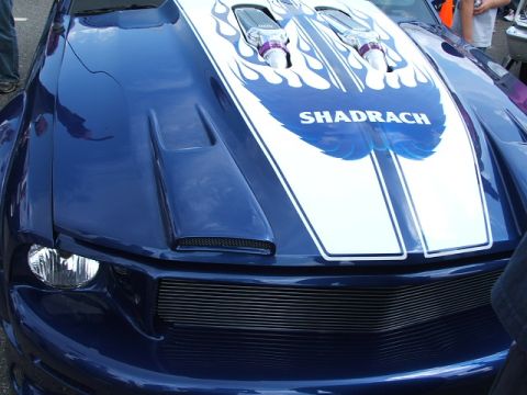 1966 Ford Ranchero - A customized blue car with flame graphics and hood scoops is shown from the front.
