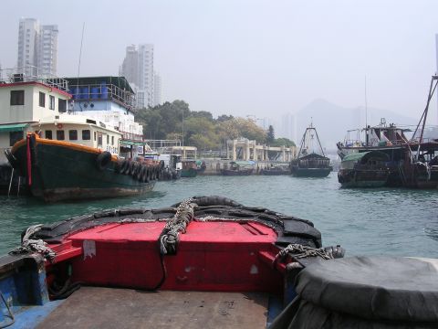1999 Toyota Tacoma - A view of several boats moored in a harbor, with urban buildings visible on the shore.