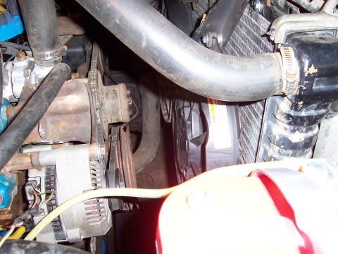 1983 Ford Bronco - Close-up view of vehicle engine components, including the alternator and radiator, with visible hoses and fan shroud.