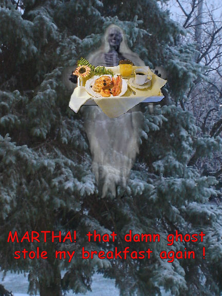 1979 Ford Ranchero - A ghostly figure appears to have stolen breakfast, as indicated by the text overlay on the image.