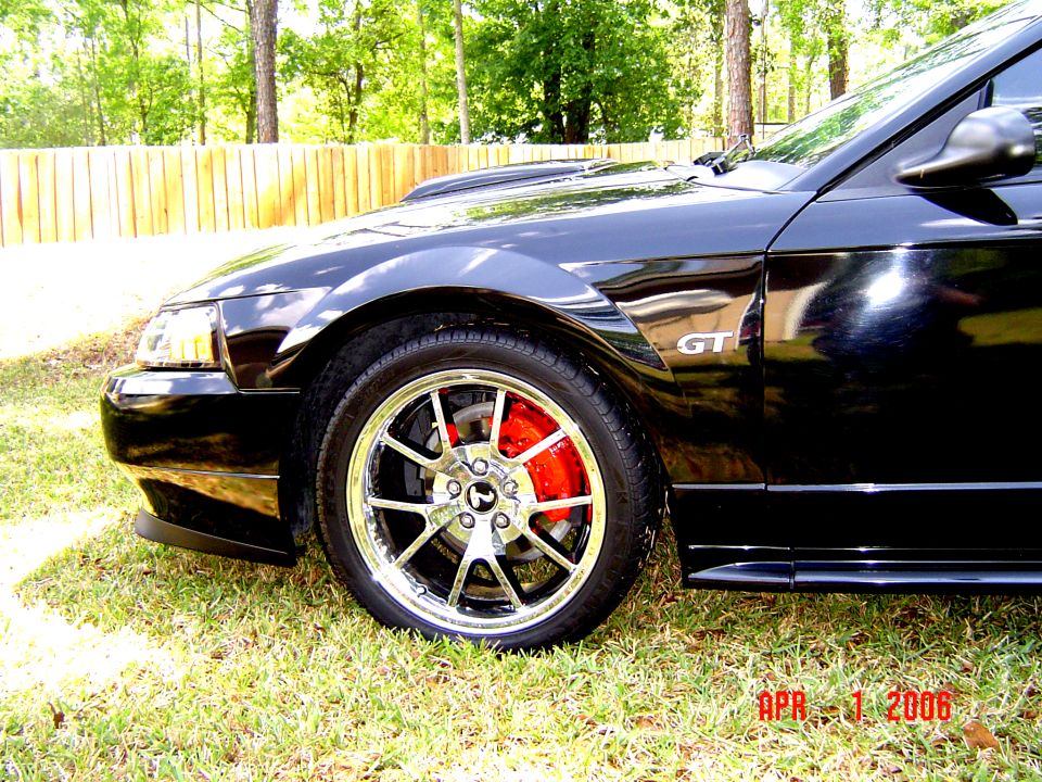 Black Mustang GT front fender and chrome wheel with red brake caliper on grass