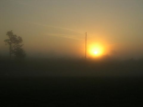 1992 Ford C-250 (Centurion Conversions) - A misty sunrise casts a warm glow over a rural landscape, with a lone tree and utility pole silhouetted against the sky.