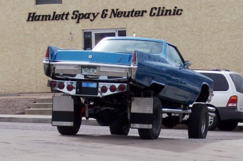 1972 Ford Ranchero - Custom lifted pickup truck with a modified rear bumper parked outside a veterinary clinic.