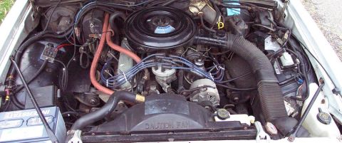 1985 Ford Crown Victoria LTD - Engine bay view shows V8 engine components, including air cleaner, battery, and hoses. Fan shroud has caution text.