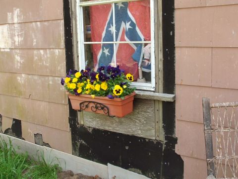 1966 Ford Ranchero - A window box filled with yellow and purple pansies sits below a window displaying a Confederate flag.