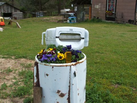 1966 Ford Ranchero - A vintage washing machine has been creatively transformed into a unique planter filled with colorful flowers.