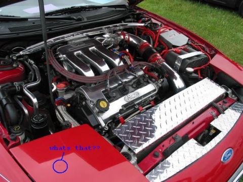 1994 Ford Probe - shouldnt ask me to find dirt lol
