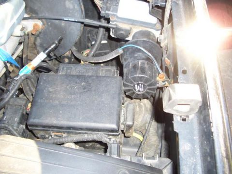 1996 Ford Bronco - Close-up view of a vehicle's engine compartment, showing electrical components and wiring.