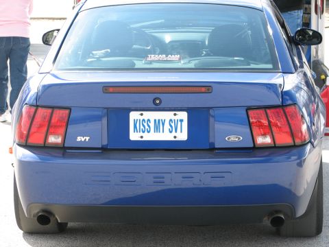 2000 Ford Crown Victoria - Rear view of a blue Ford Mustang Cobra SVT with a custom license plate.