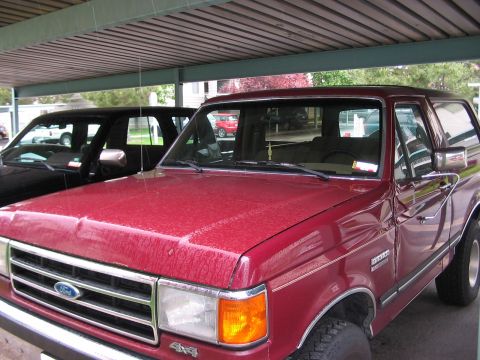 1991 Ford Bronco - The front quarter view of a red 1991 Ford Bronco shows its grille, headlights, and side profile.