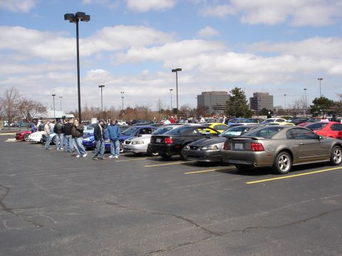 1998 Ford Taurus - A gathering of Ford Mustangs in a parking lot under a partly cloudy sky.