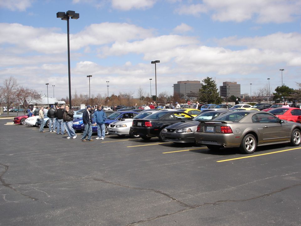 Several Ford Mustangs parked in a lot, some people standing around them