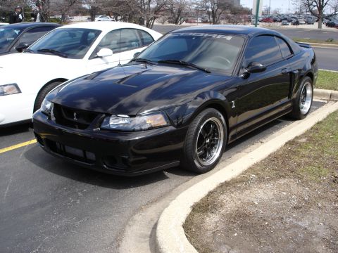 1998 Ford Taurus - A black Ford Mustang Cobra is parked in a lot next to a white vehicle. The word "COBRA" is visible on the windshield.