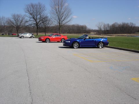 1998 Ford Taurus - Multiple Ford Mustangs are parked in a lot on a sunny day.