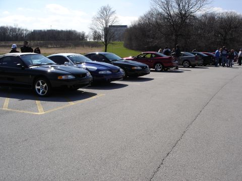 1998 Ford Taurus - Multiple Ford Mustangs are lined up in a parking lot on a sunny day.