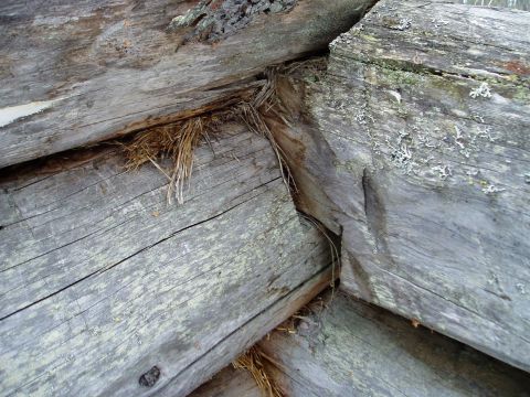 2000 Ford E350 - Weathered logs form a corner of a cabin, with dried grass visible in the crevices.