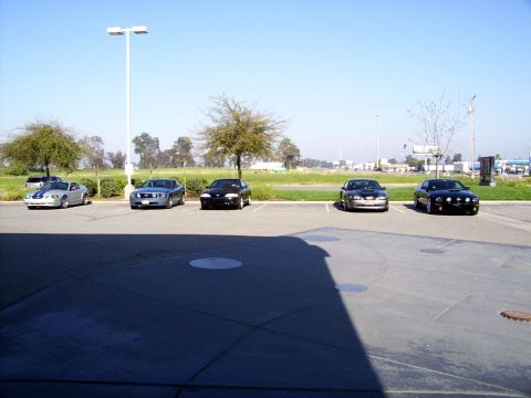 1978 Ford Mustang II - A lineup of five Ford Mustangs are parked in a lot under a clear blue sky.