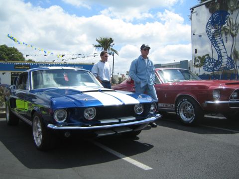 1968 Ford Mustang - Two classic Ford Mustangs are parked together under a cloudy sky, with a trailer a snake graphic nearby.