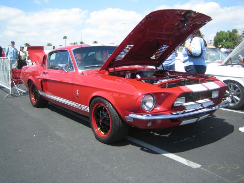 1968 Ford Mustang - 1968 Shelby GT350 Mustang on display with hood open, white racing stripes.