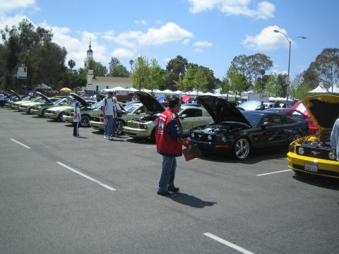 1968 Ford Mustang - Multiple Ford Mustangs are displayed with their hoods open at an outdoor car show.
