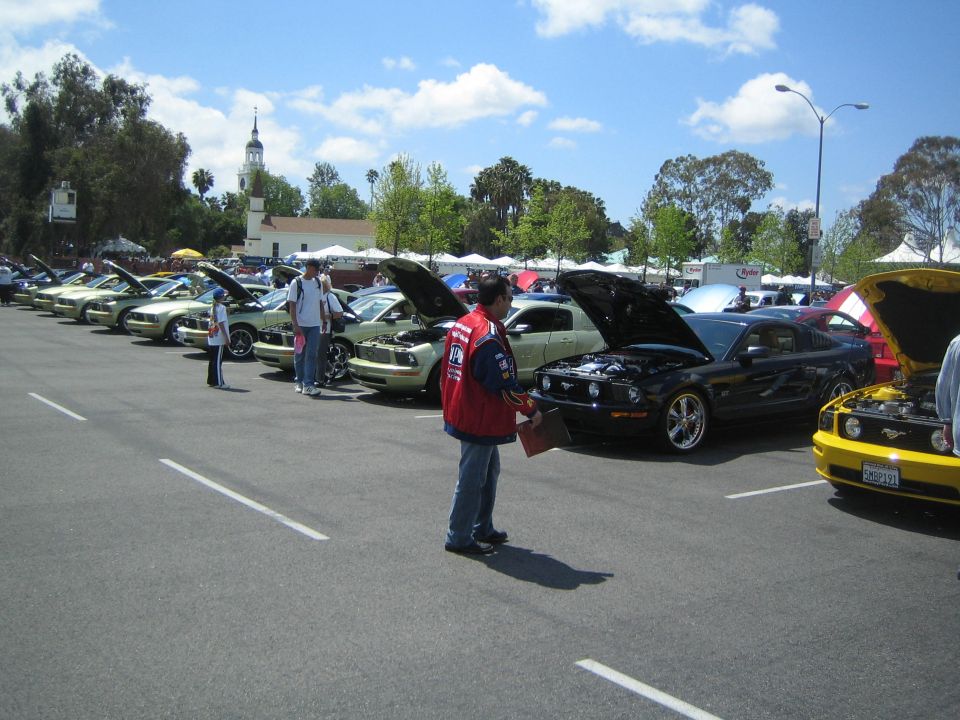 Row of gold Ford Mustangs with hoods up, a black Ford Mustang, and a yellow Ford Mustang