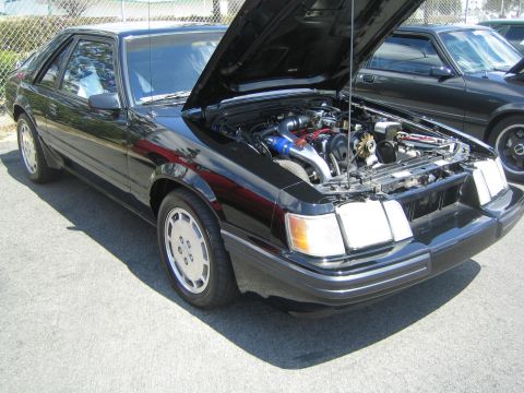 1968 Ford Mustang - Black Fox body Ford Mustang with hood open, parked next to another Mustang.